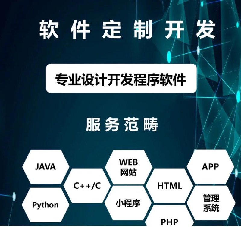 软件定制开发：在企业数字化转型中的应用